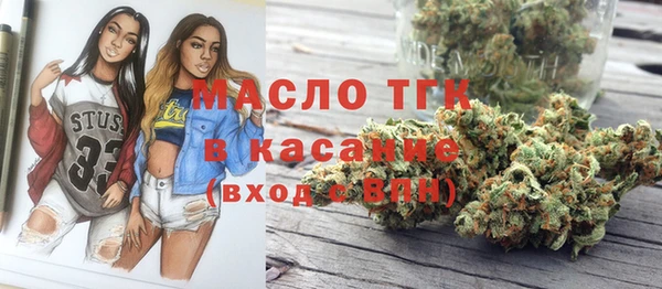 дмт Богородицк
