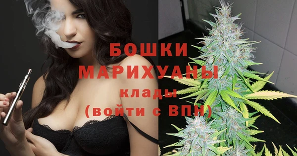 дмт Богородицк