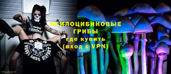 дмт Богородицк